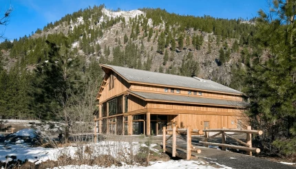 Snowy Owl Theater Image