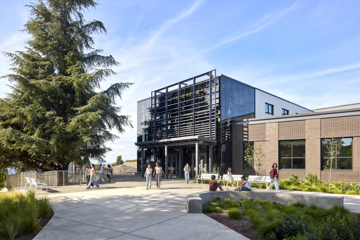 Asa Mercer MS aerials (4)