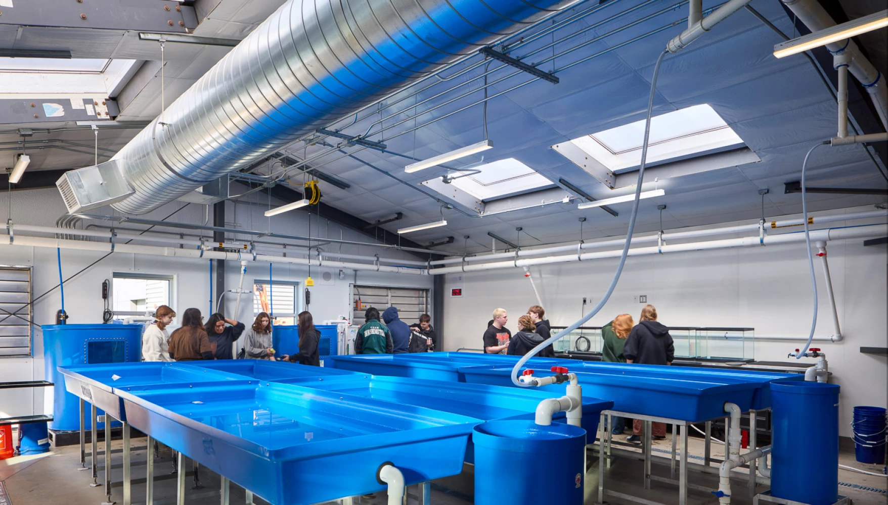 20240315-zd_Ferndale_High_30_Gallery__1440x820px